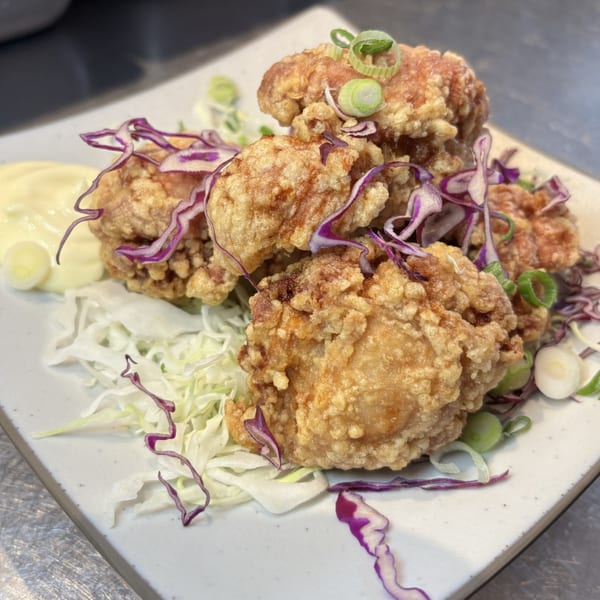 Crispy fried chicken karaage with shredded cabbage, red cabbage, green onions, and a side of mayonnaise.