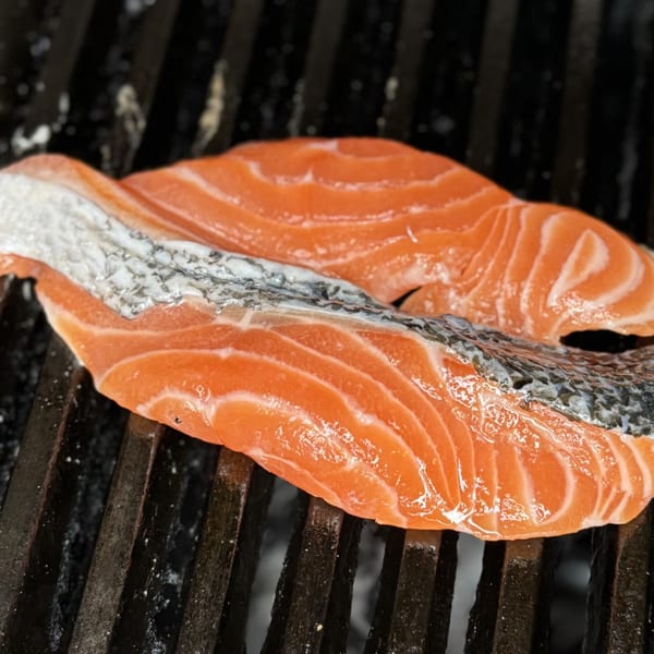 Two fresh salmon fillets with skin on, resting on a dark grill grate.
